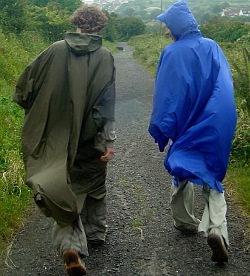 poncho